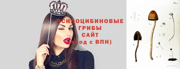 крисы Карталы