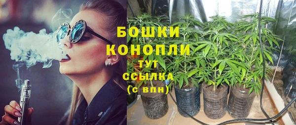 крисы Карталы