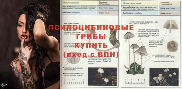 ешки Касимов