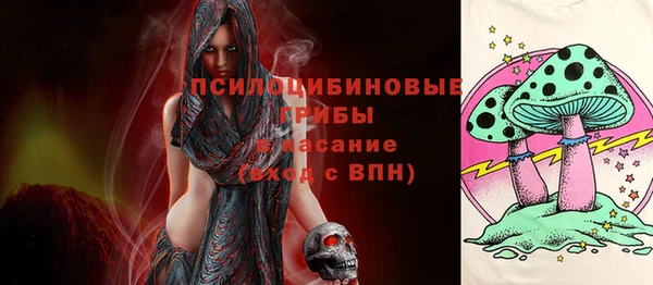 ешки Касимов
