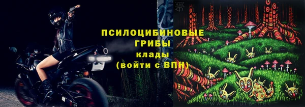 mdpv Карпинск